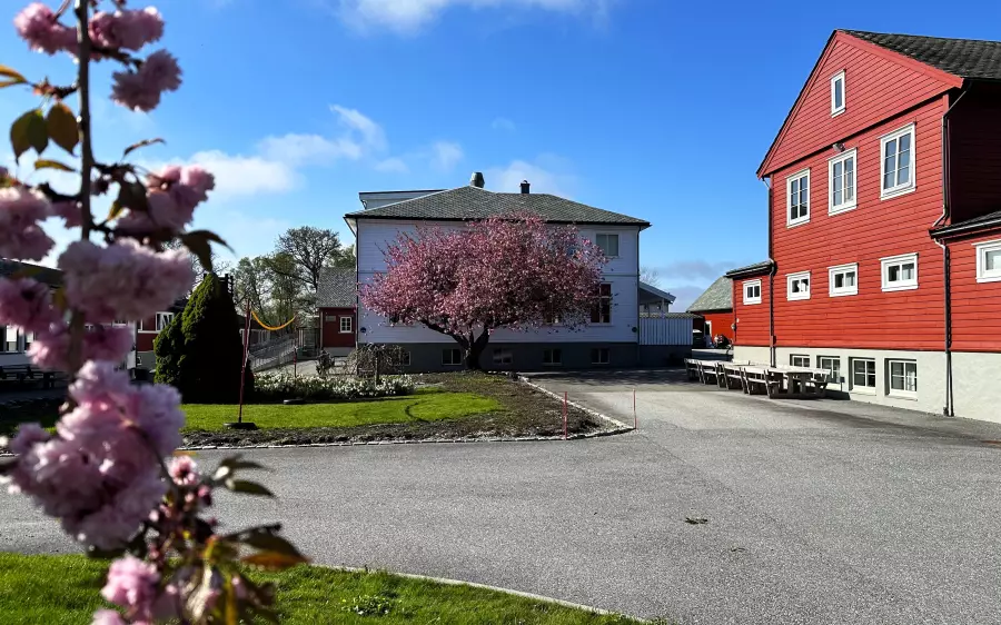 Vår på Manger folkehøgskule 2023