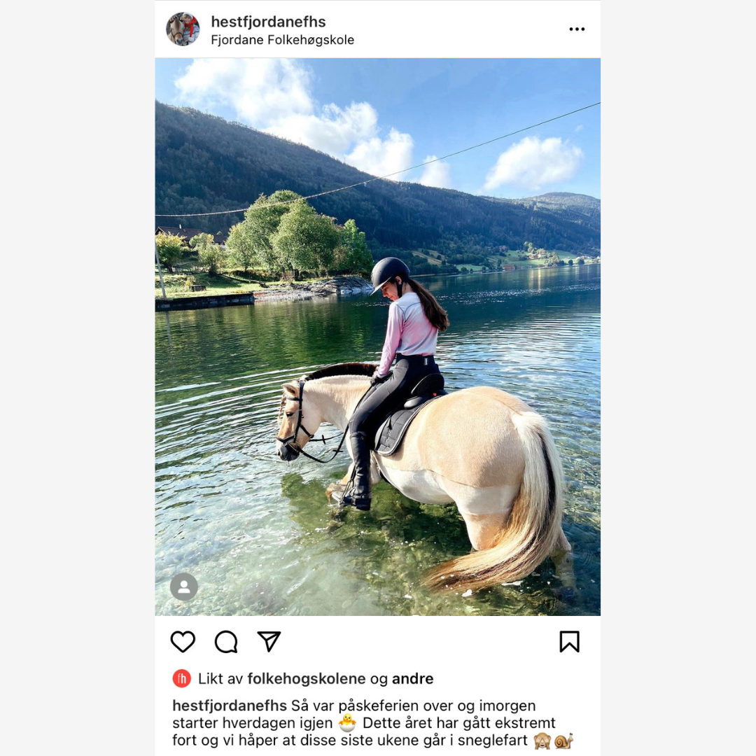 Skjermbilde fra Instagram, jente på hest. folkehøgskoler i sosiale medier