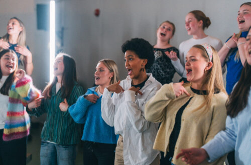 Dette er de 10 mest populære linjene på folkehøgskole