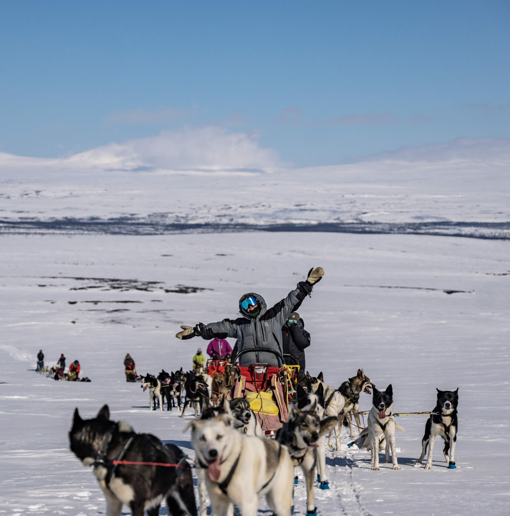 En person med briller står omgitt av hvit snø med hundekjøring. 